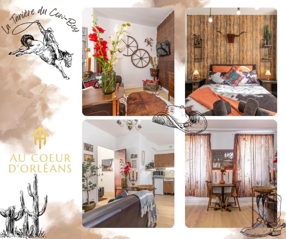 Appartement La Taniere Du Cowboy Orléans